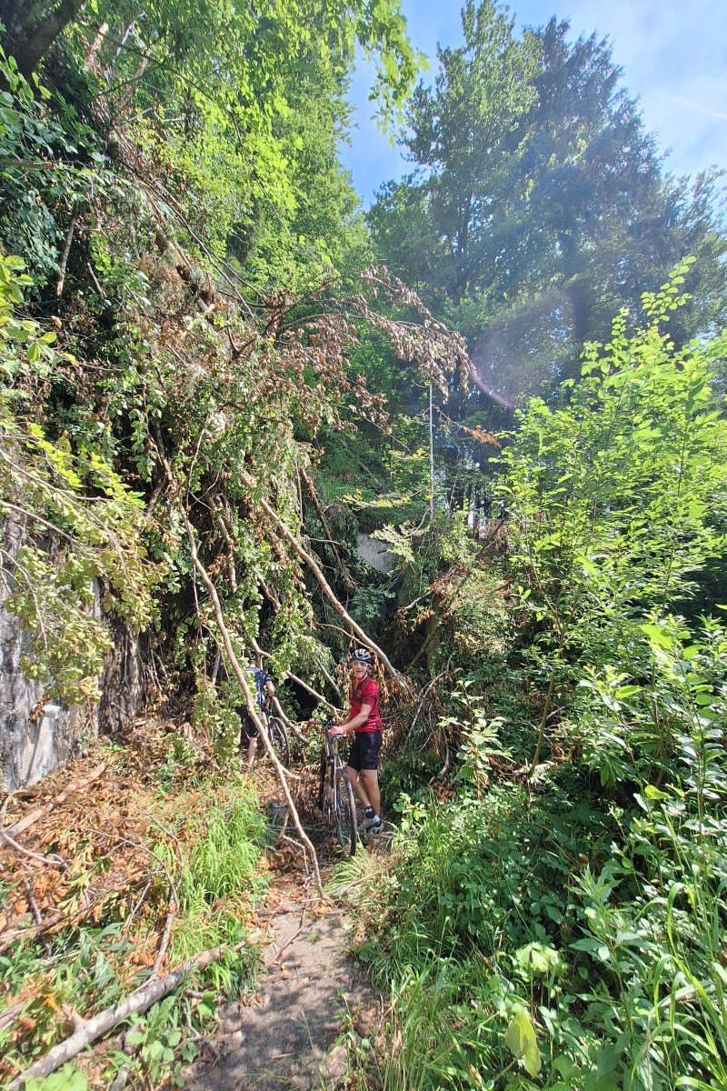 Foto zum Beitrag «bregenzer ach - schöner mann»