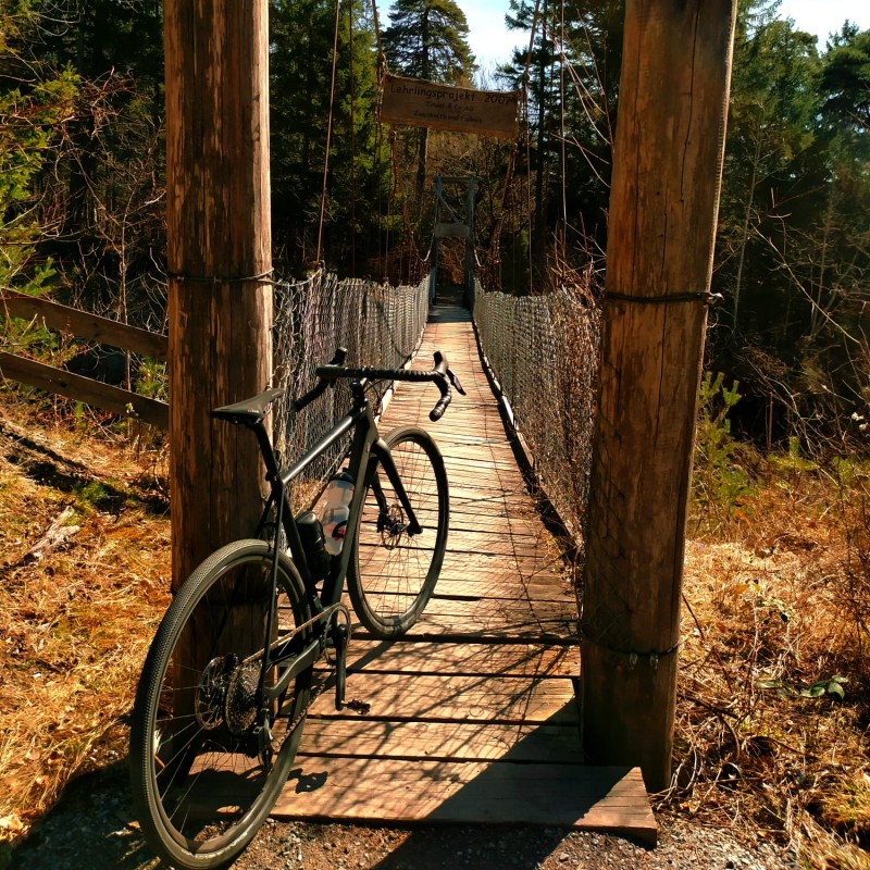 Foto zum Beitrag «Danis Liebling»