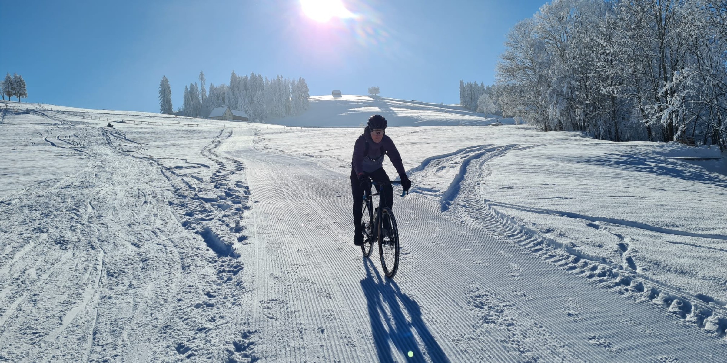 Foto zum Beitrag «Ein Wintermärchen»
