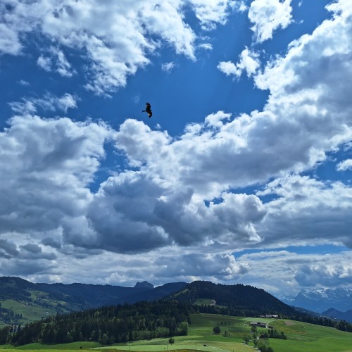 Teaserfoto zum Beitrag «einsiedeln,rotenthurm»