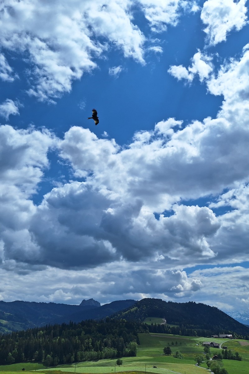 Foto zum Beitrag «einsiedeln,rotenthurm»