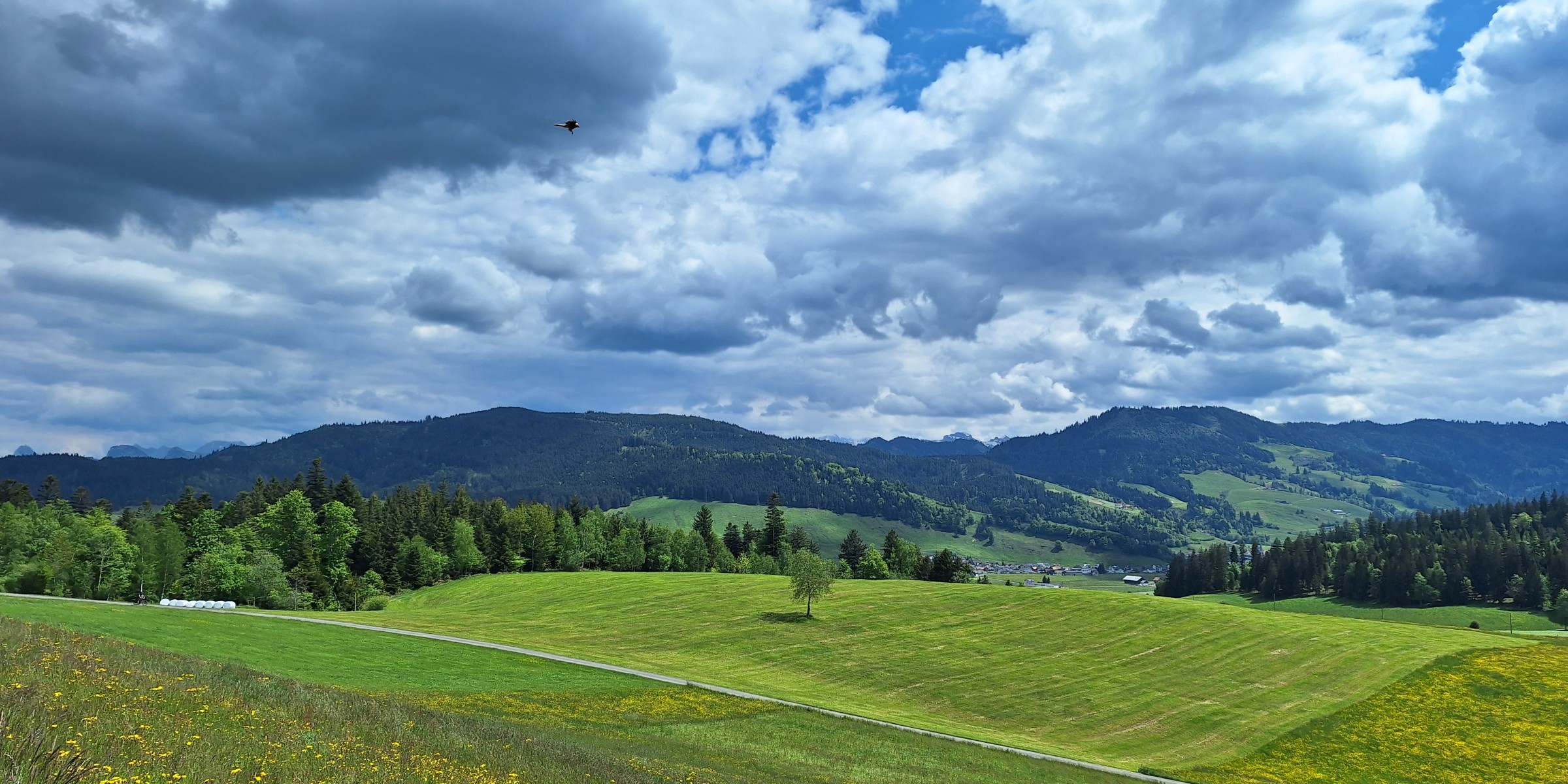 Foto zum Beitrag «einsiedeln,rotenthurm»