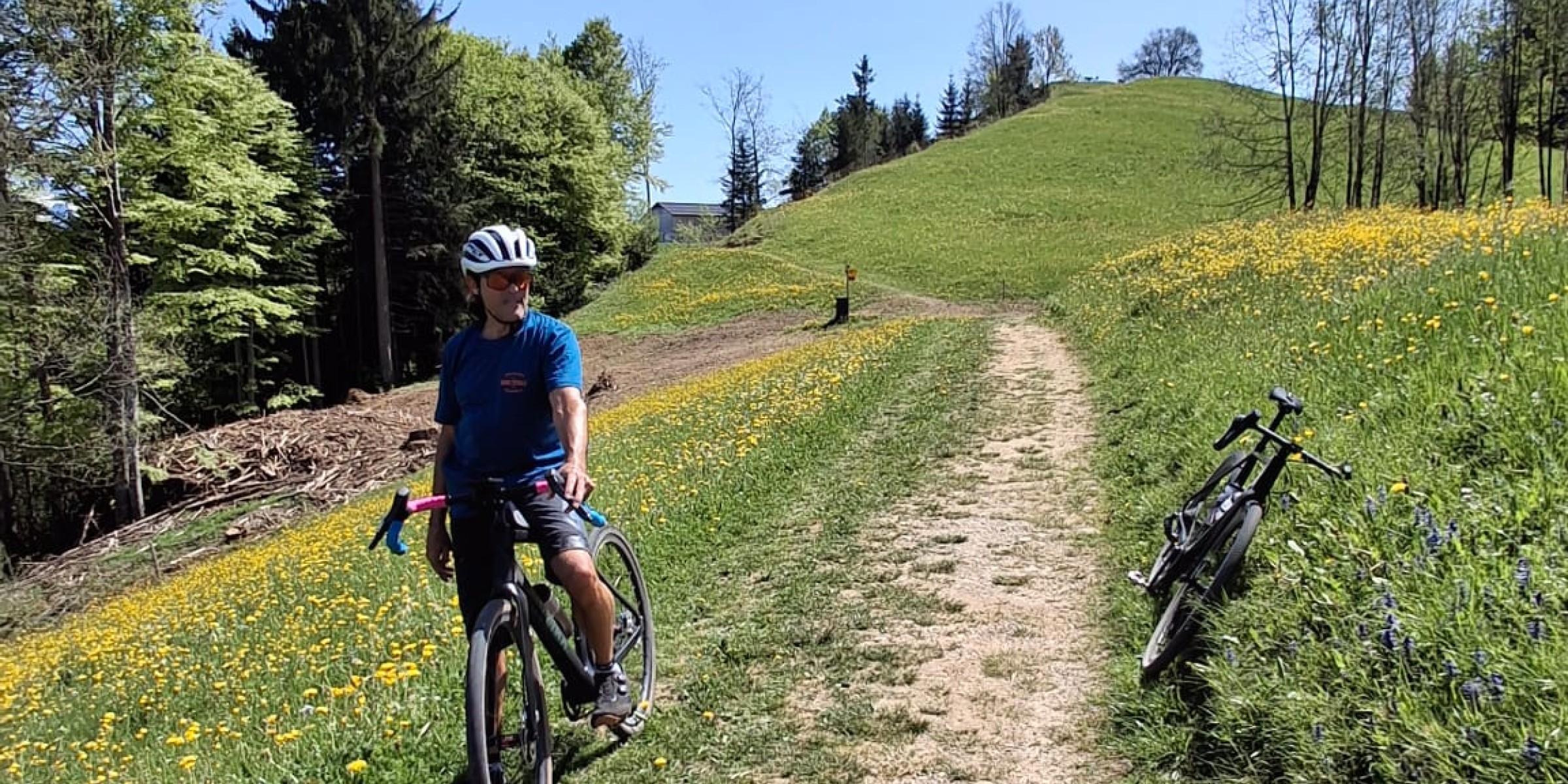 Foto zum Beitrag «F:A:F (freiamfreitag)»