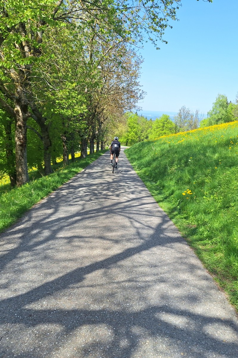 Foto zum Beitrag «F:A:F (freiamfreitag)»