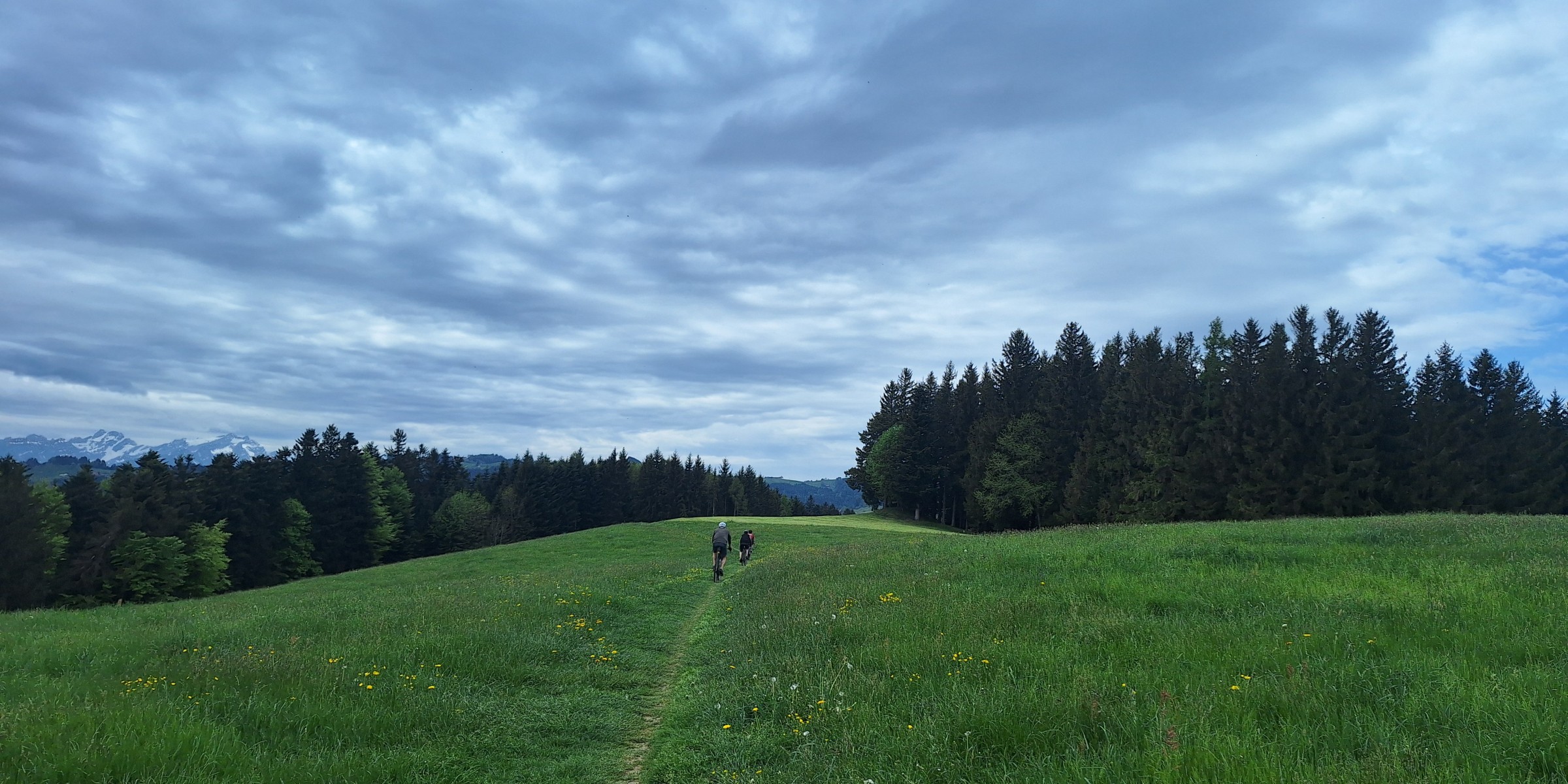 Foto zum Beitrag «fürdägemmi»