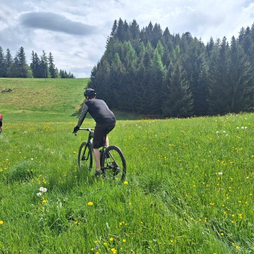 Teaserfoto zum Beitrag «fürdägemmi»