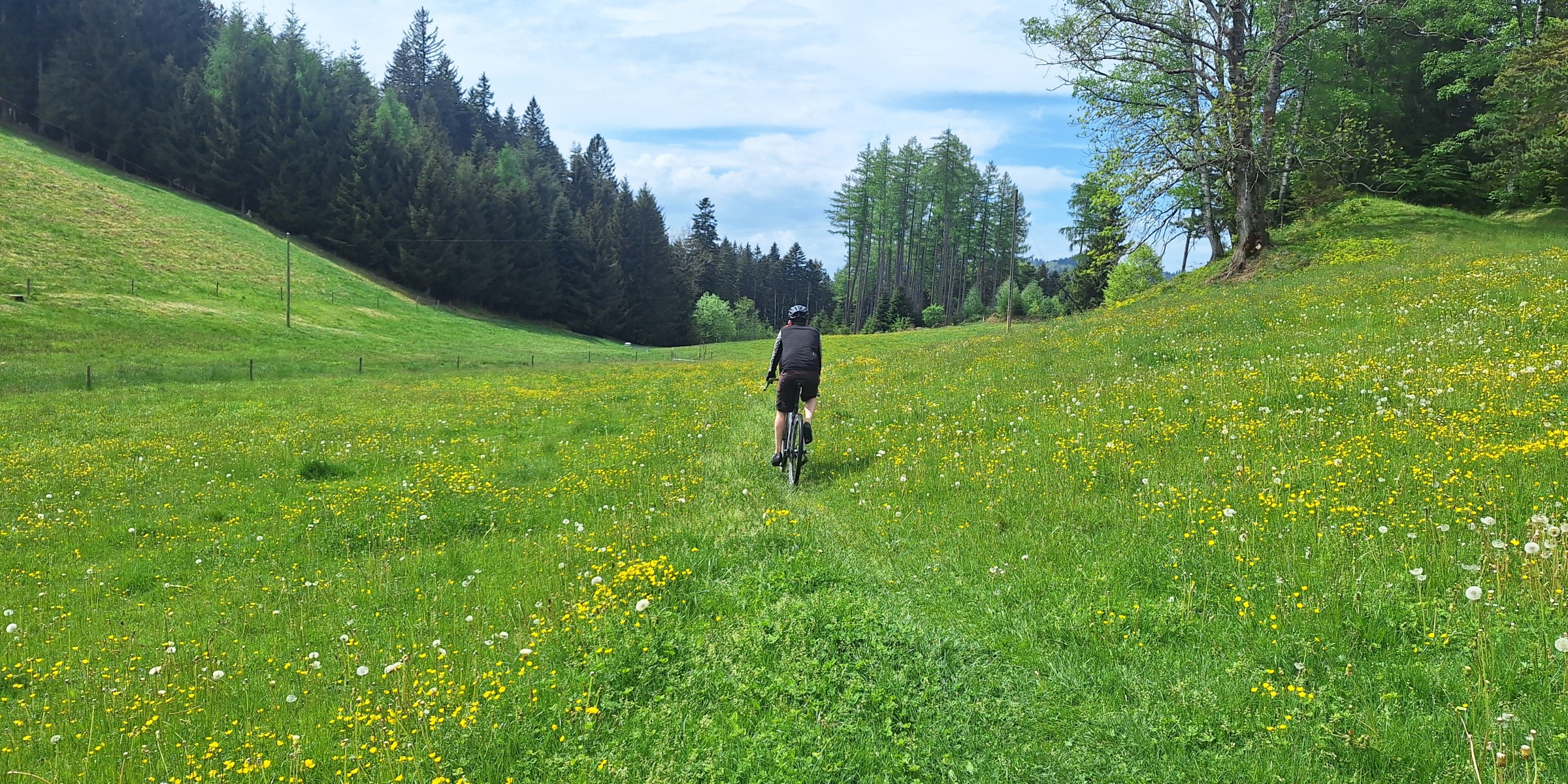 Foto zum Beitrag «fürdägemmi»