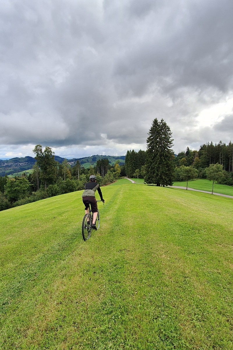 Foto zum Beitrag «happyherbst»