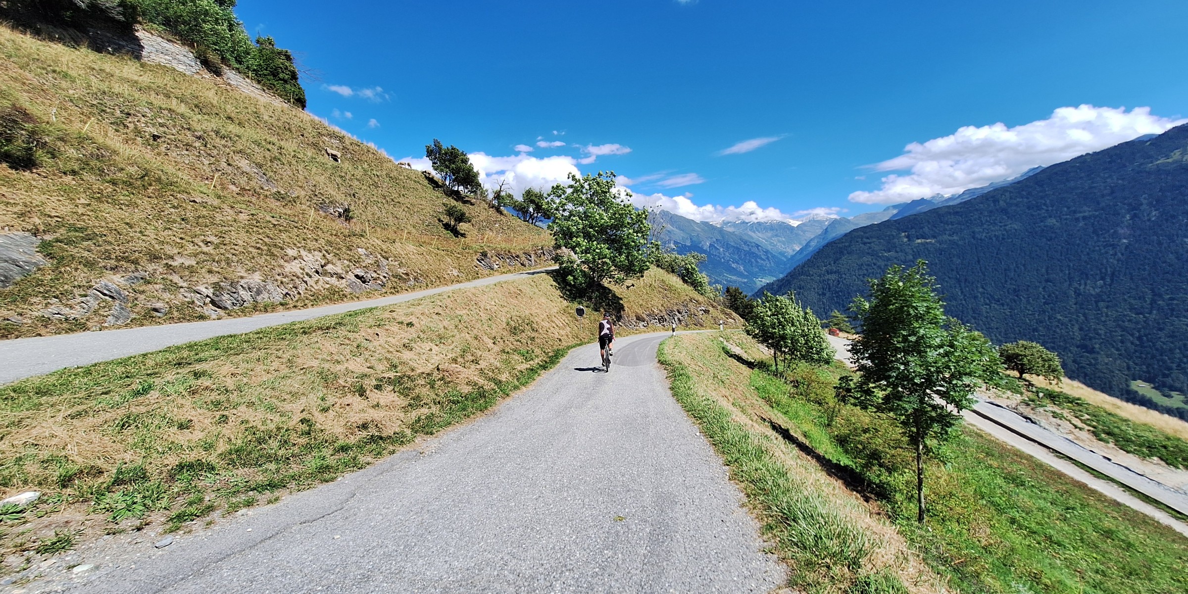 Foto zum Beitrag «immernoch wallis»