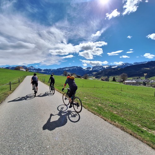 Teaserfoto zum Beitrag «in den frühling»