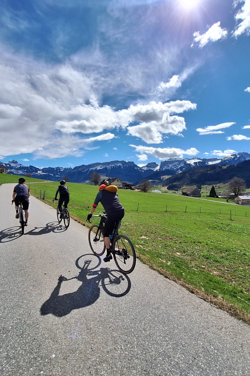 Foto zum Beitrag «in den frühling»