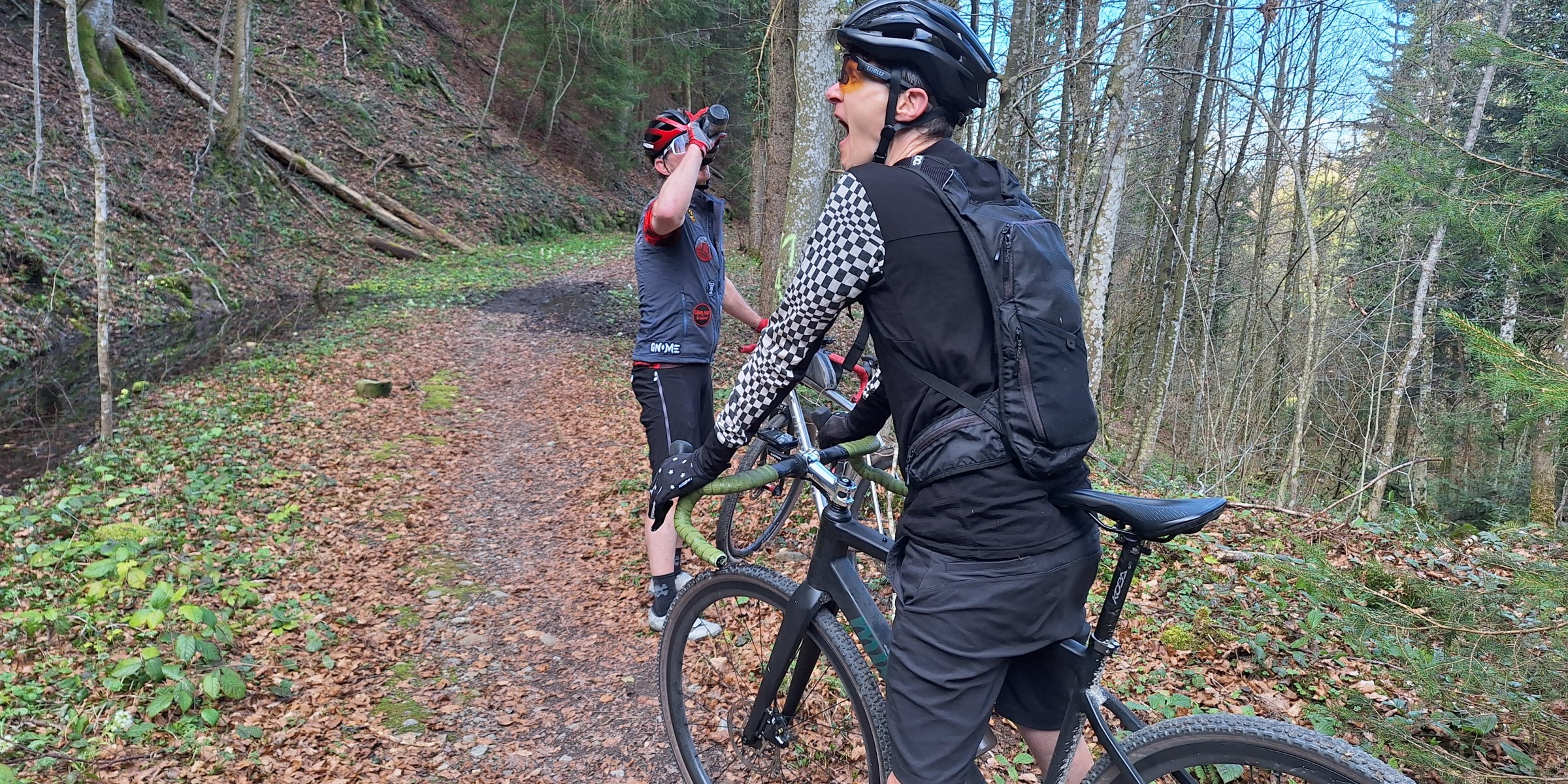 Foto zum Beitrag «in den frühling»