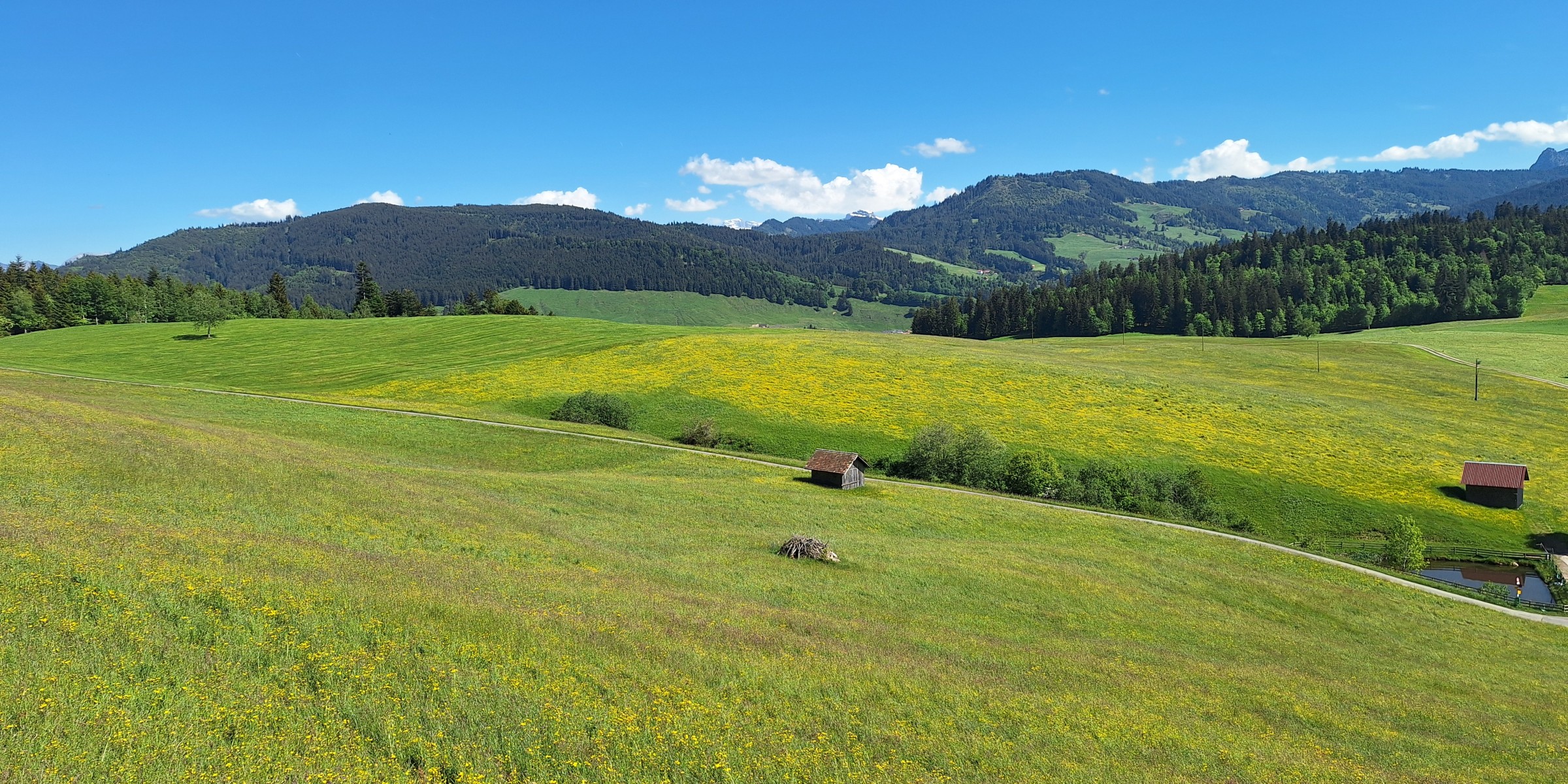 Foto zum Beitrag «königsetappe 26»