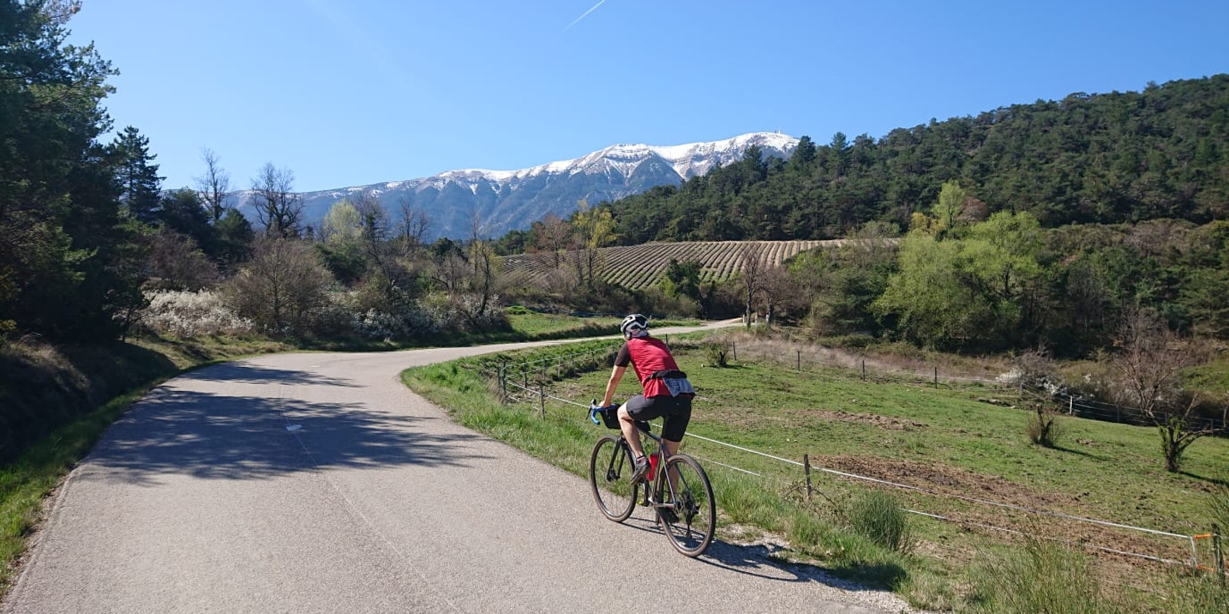 Foto zum Beitrag «mont ventoux»