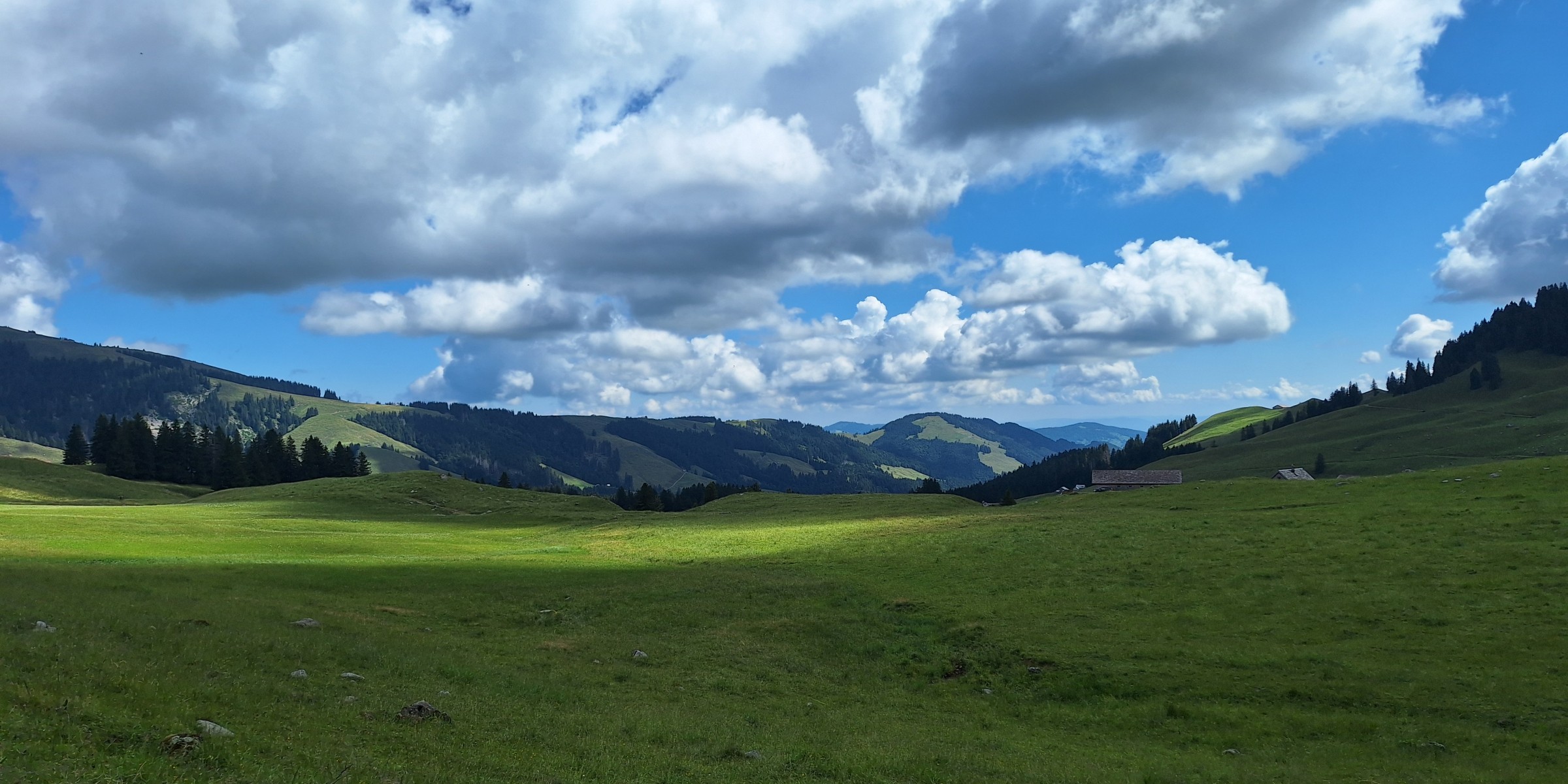 Foto zum Beitrag «risipass»