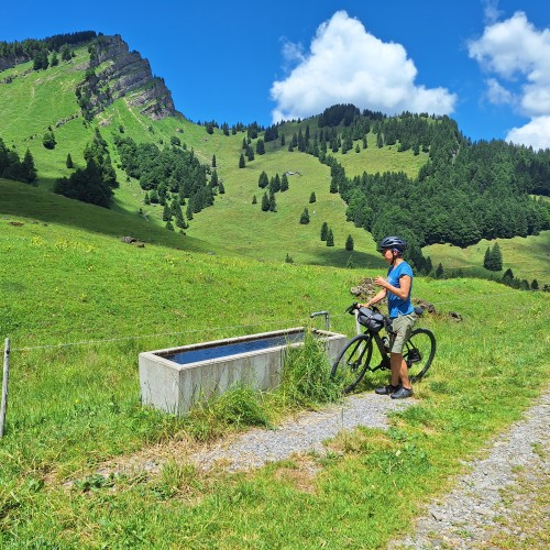 Teaserfoto zum Beitrag «risipass»