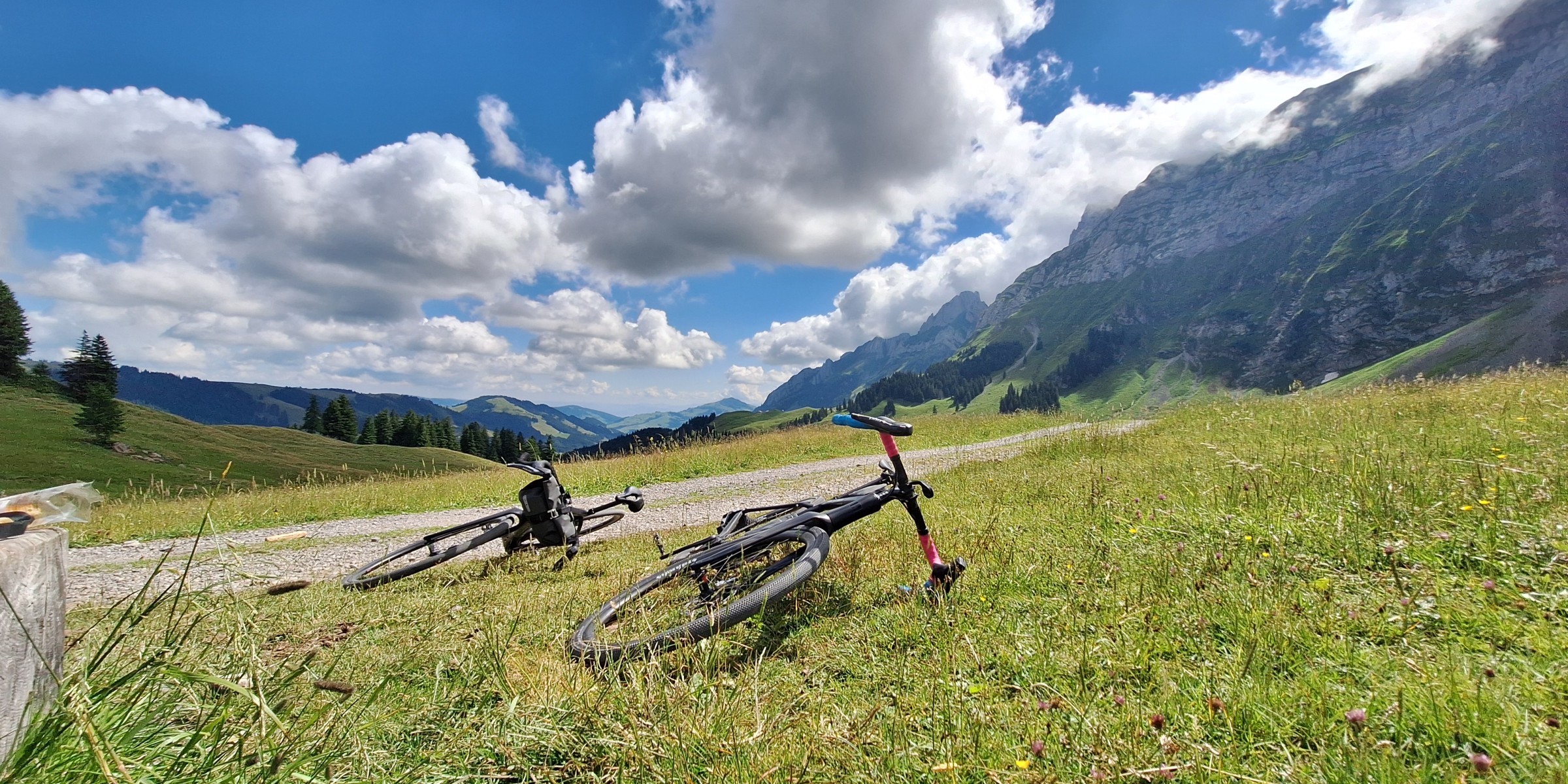 Foto zum Beitrag «risipass»