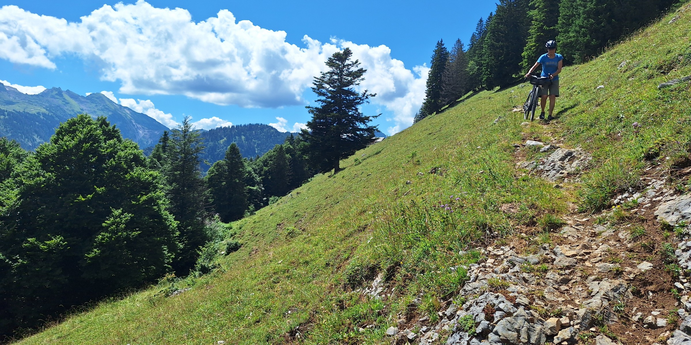 Foto zum Beitrag «risipass»