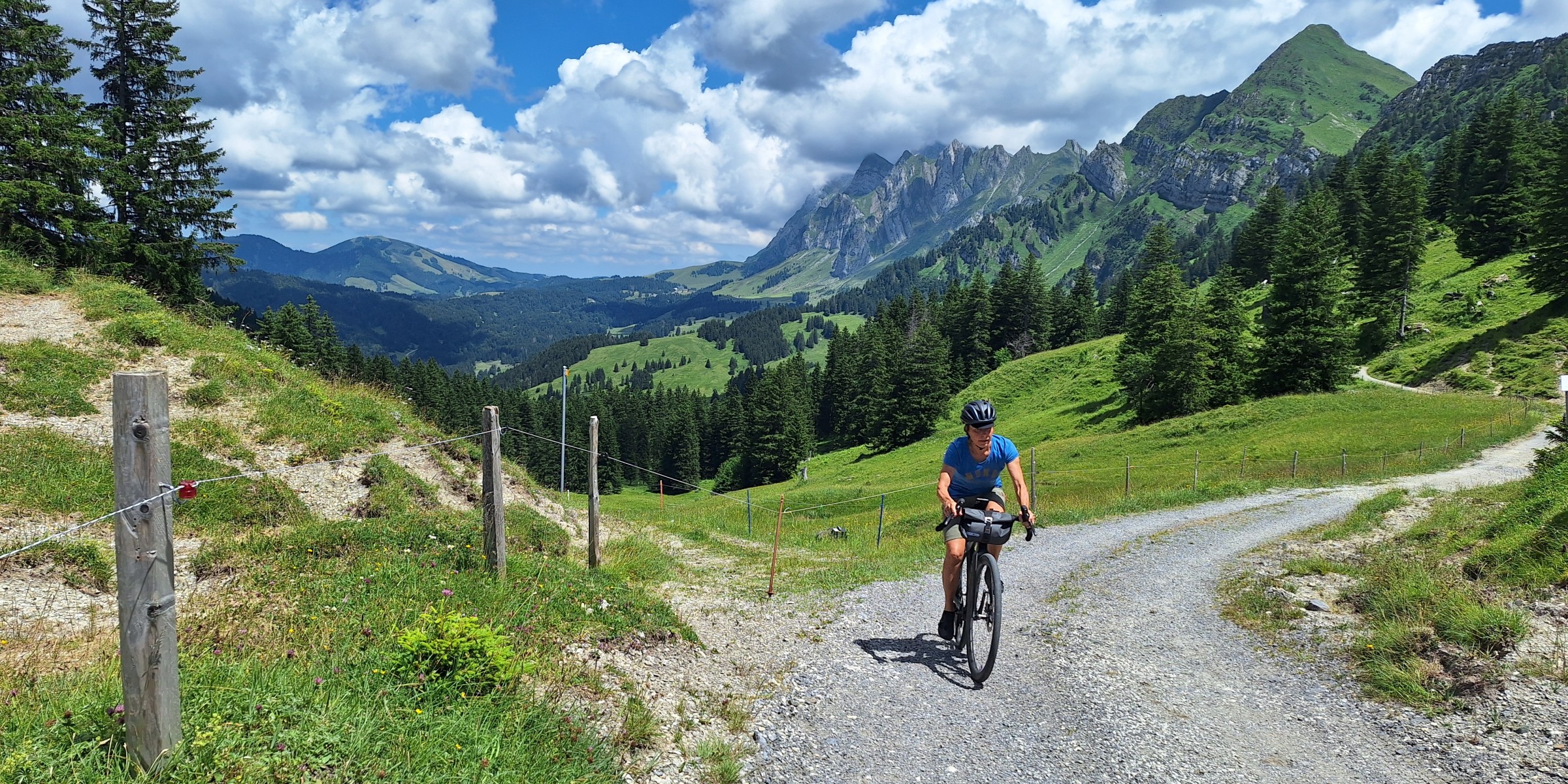 Foto zum Beitrag «risipass»