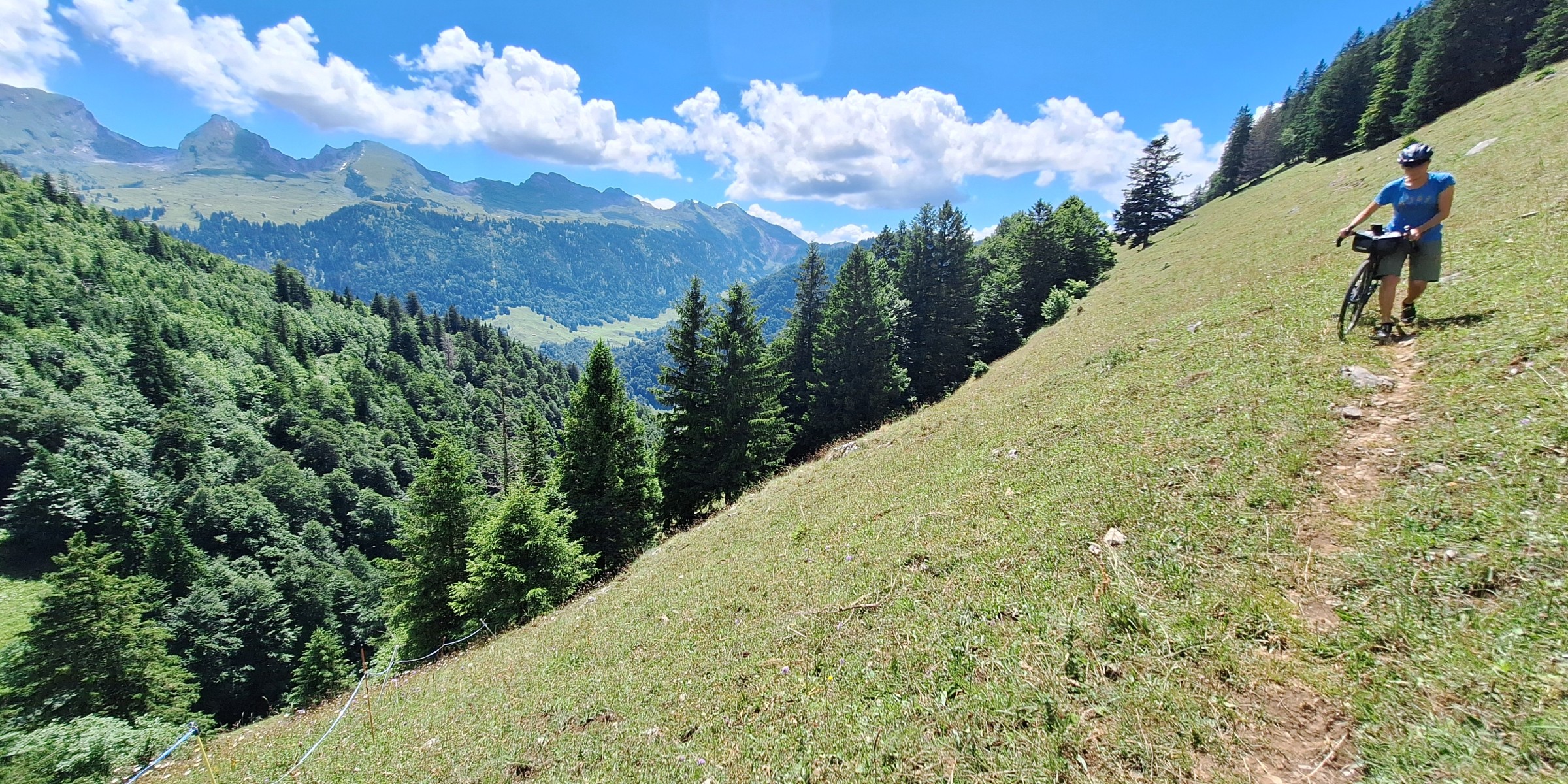 Foto zum Beitrag «risipass»