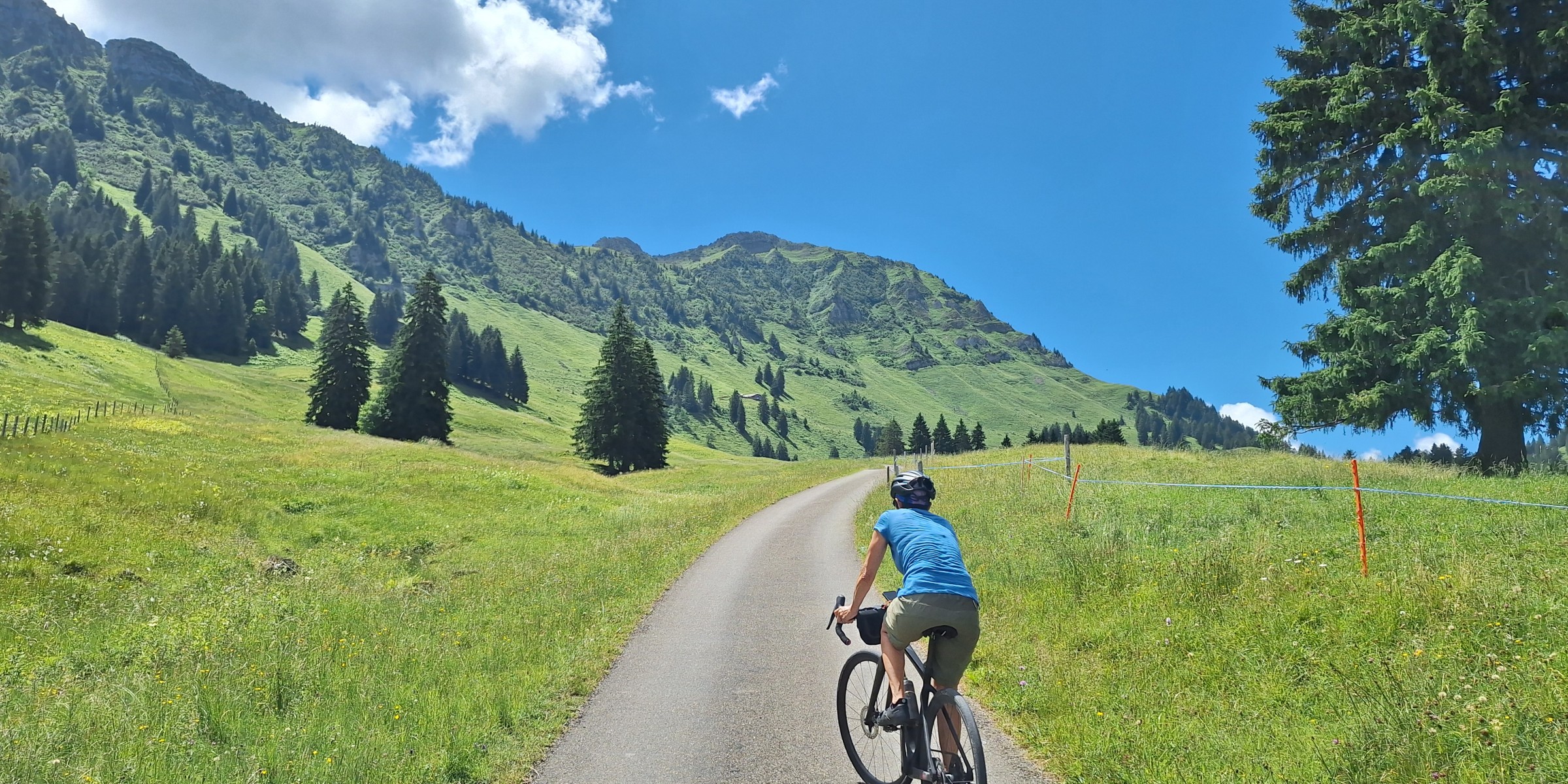 Foto zum Beitrag «risipass»