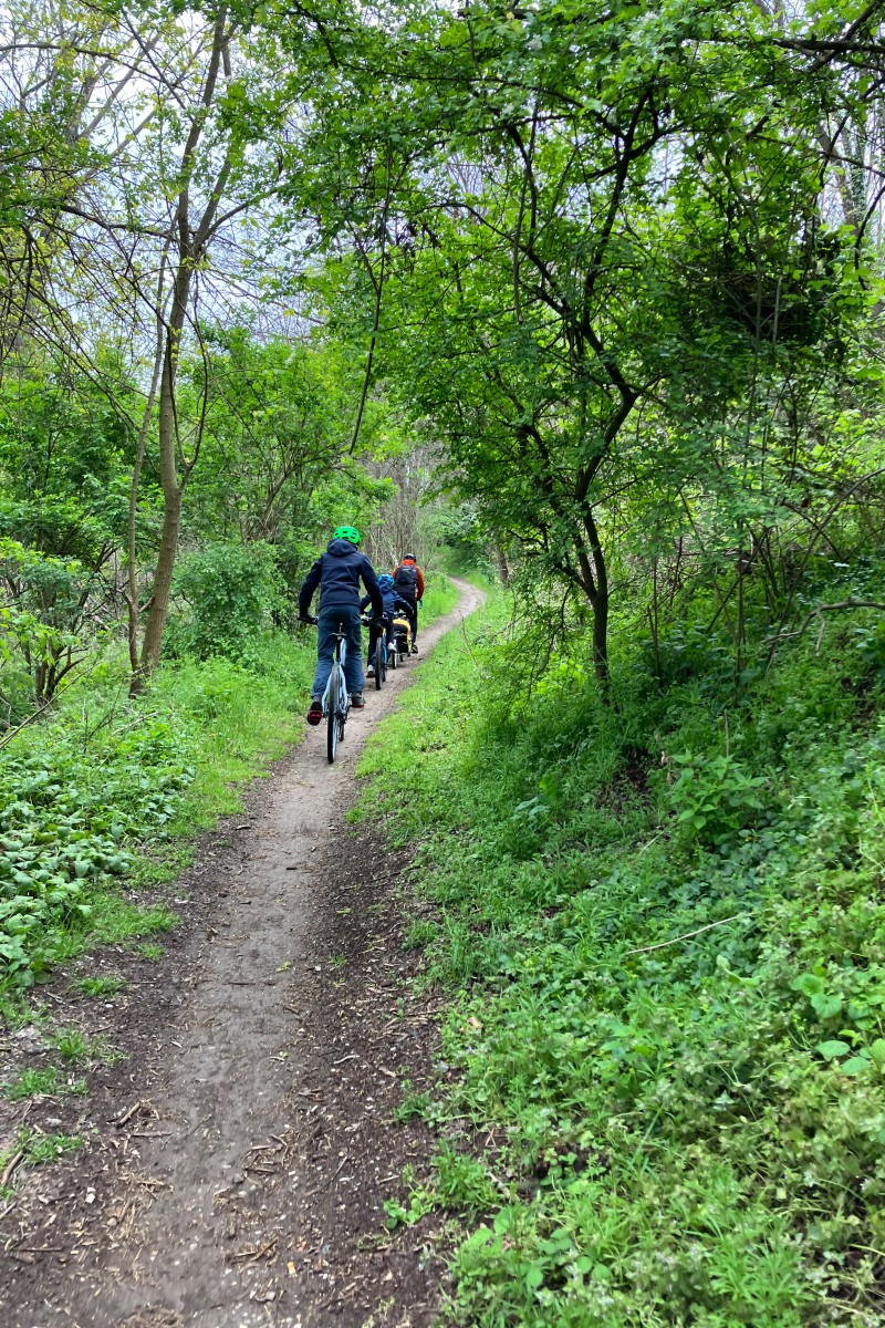 Foto zum Beitrag «roadtrip cremona rimini»