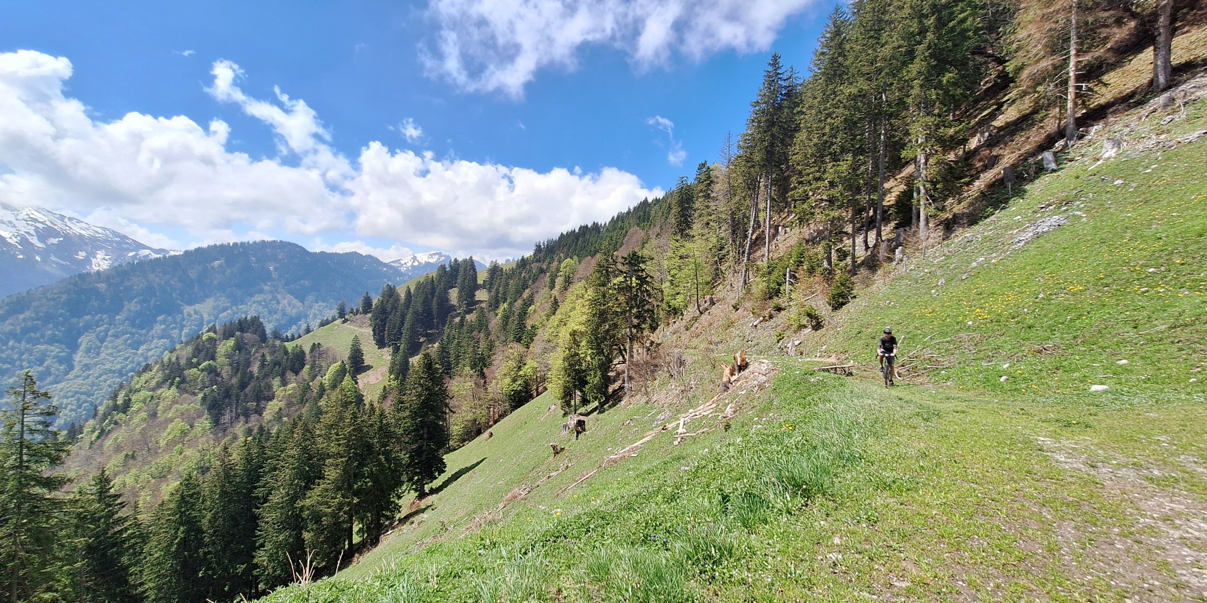 Foto zum Beitrag «rondom dä säntis»