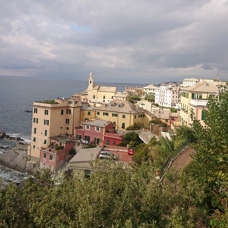 Foto zum Beitrag «St.Gallen Genua St.Gallen»