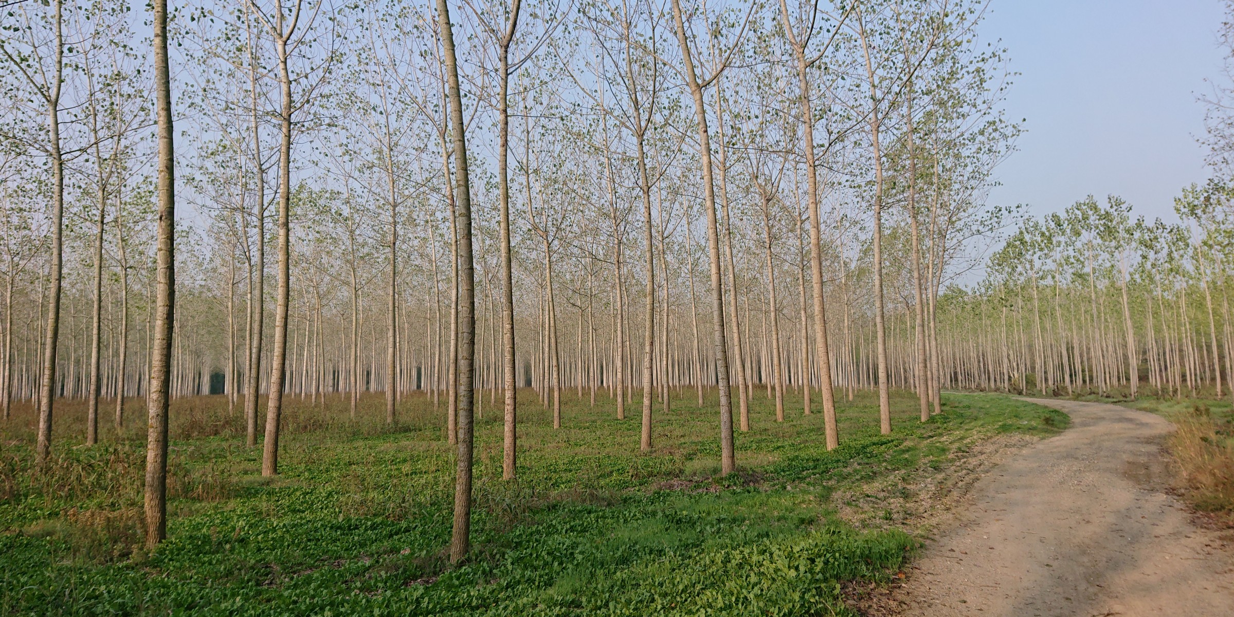 Foto zum Beitrag «St.Gallen Genua St.Gallen»