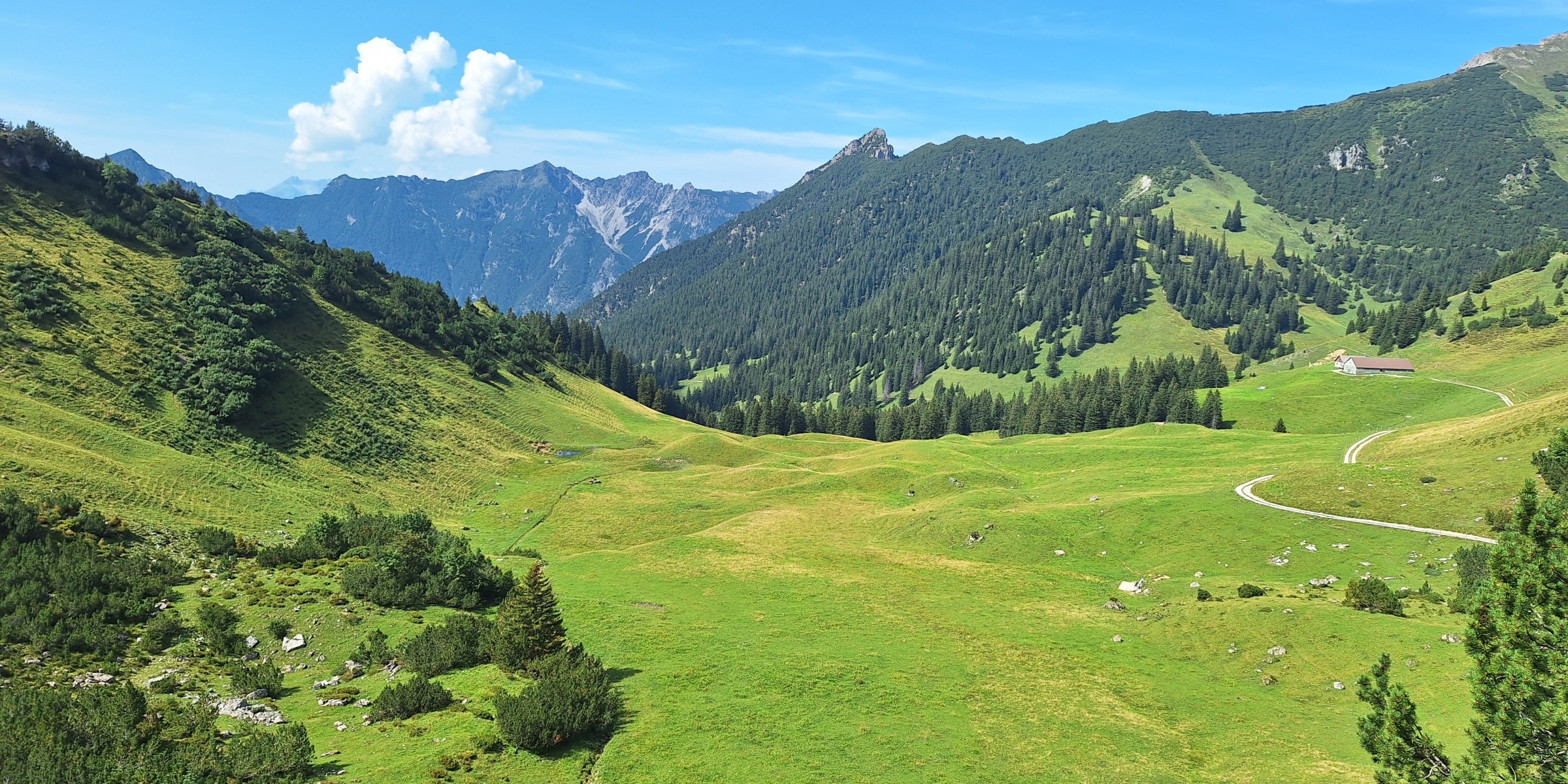 Foto zum Beitrag «st.gallen-sassförkle-st.gallen»