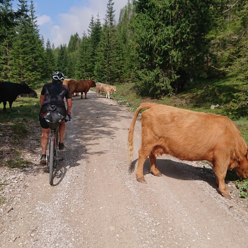 Foto zum Beitrag «Vierländertour»