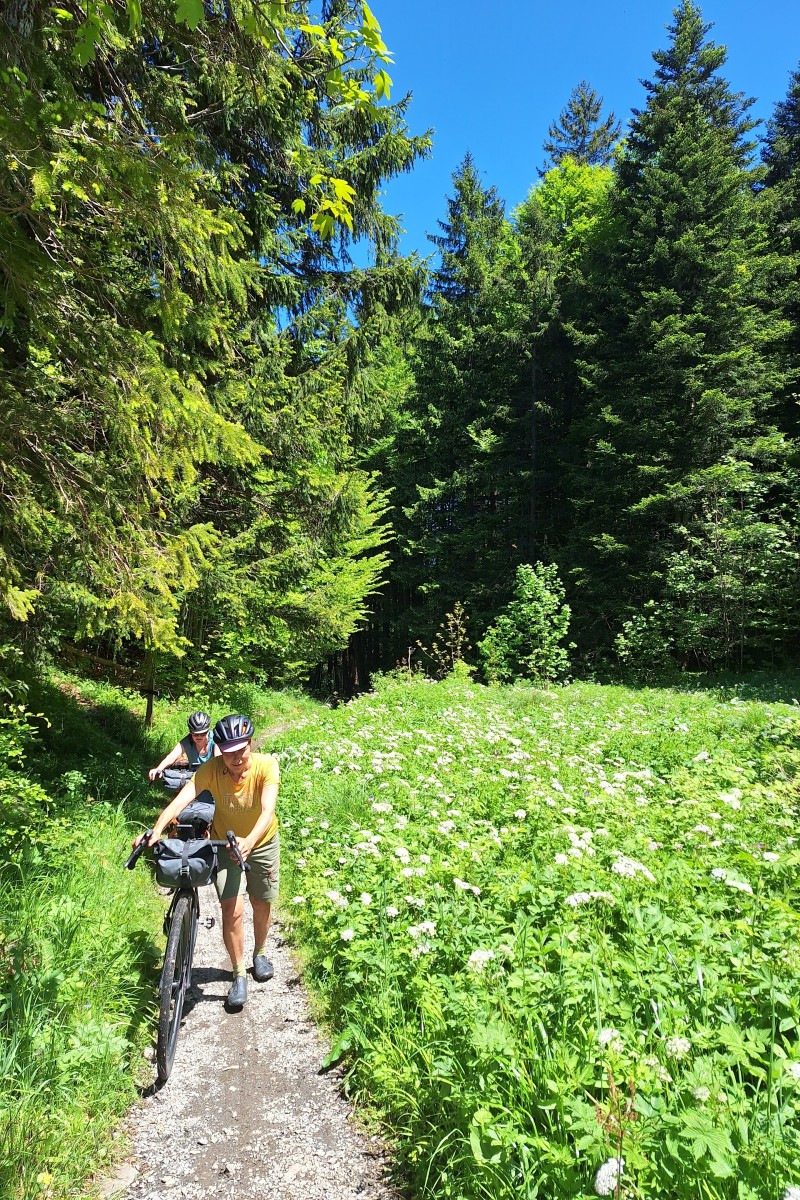 Foto zum Beitrag «weekender»