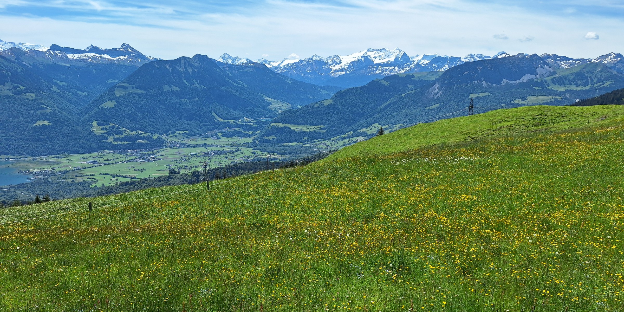 Foto zum Beitrag «weekender»